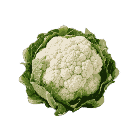 Chou fleur