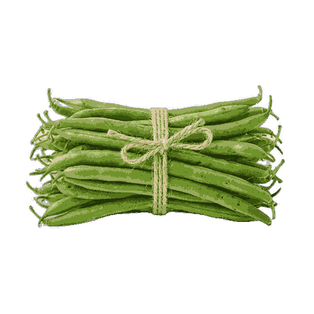 Haricot vert